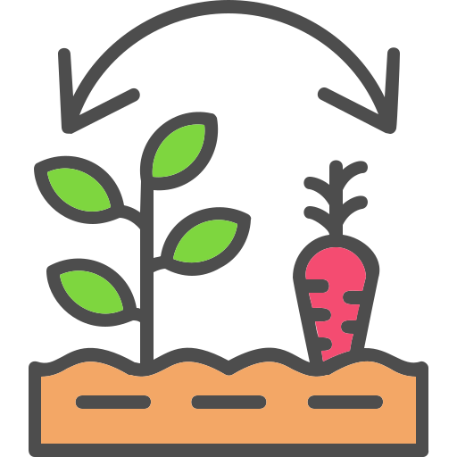 Quoi planter ensemble ?